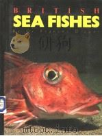 BRITISH SEA FISHES（ PDF版）