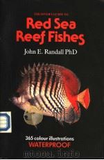 THE DIVER‘S GUIDE TO RED SEA REEF FISHES（ PDF版）