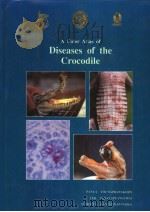 A COLOR ATLAS OF DISEASES OF THE CROCODILE     PDF电子版封面  9748917215   