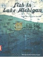 FISH IN LAKE MICHIGAN     PDF电子版封面    LAWRENCE M.SOMMERS  CYMBRIA TH 