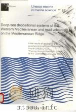 DEEP-SEA DEPOSITIONAL SYSTEMS OF THE WESTERN MEDITERRANEAN AND MUD VOLCANISM ON THE MEDITERRANEAN RI     PDF电子版封面     
