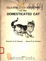 ILLUSTRATED ANATOMY OF THE DOMESTICATED CAT     PDF电子版封面    FRANCISCO G.DE GUZMAN AND AURO 