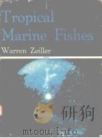 TROPICAL MARINE FISHES     PDF电子版封面  0838679145  WARREN ZEILLER 