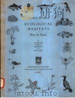 HONG KONG ECOLOGICAL HABITATS FLORA & FAUNA     PDF电子版封面    D.S.HILL  BETH GOTT  B.S.MORTO 