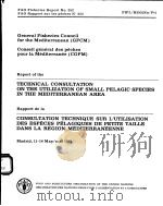 FAO FISHERIES REPORT NO.252  TECHNICAL CONSULTATION ON THE UTILIZATION OF SMALL PELAGIC SPECIES IN T     PDF电子版封面  9250011245   