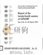 GESAMP REPORTS AND STUDIES NO.53  REPORT OF THE TWENTY-FOURTH SESSION OF GESAMP     PDF电子版封面     