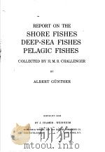 REPORT ON THE SHORE FISHES DEEP-SEA FISHES PELAGIC FISHES  TEXT VOLUME     PDF电子版封面    H.M.S.CHALLENGER 