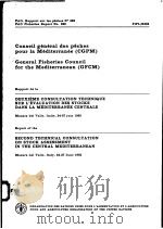 FAO FISHERIES REPORT NO.336  REPORT OF THE SECOND TECHNICAL CONSULTATION ON STOCK ASSESSMENT IN THE     PDF电子版封面  9250023146   