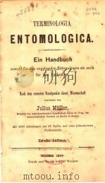 TERMINOLOGIA ENTOMOLOGICA ZWEITE AUFLAGE  1872     PDF电子版封面    JULIUS MULLER 