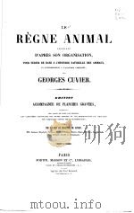 LE REGNE ANIMAL LES ANNELIDES     PDF电子版封面     