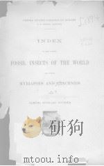 INDEX TO THE KNOWN FOSSIL INSECTS OF THE WORLD（ PDF版）