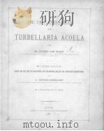 DIE ORGANISATION DER TURBELLARIA ACOELA（ PDF版）