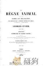 CUVIER，G. LE REGNE ANIMAL.LES CRUSTACES.ATLAS.     PDF电子版封面     