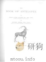 THE BOOK OF ANTELOPES  VOL.4     PDF电子版封面     