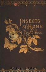 INSECTS AT HOME BEING A PLPULAR ACCOUNT OF BRITISH INSECTS THEIR STRUCTURE HABITS AND TRANSFORMATION     PDF电子版封面    REV.J.G. WOOD 