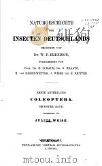 NATURGESCHICHTE DER INSECTEN DEUTSCHLANDS  6 1893     PDF电子版封面     