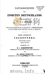 NATURGESCHICHTE DER INSECTEN DEUTSCHLANDS  6 1898     PDF电子版封面     