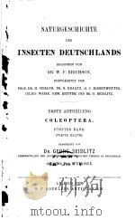NATURGESCHICHTE DER INSECTEN DEUTSCHLANDS  7 1920     PDF电子版封面     
