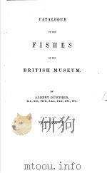 CATALOGUE OF THE FISHES IN THE BRITISH MUSEUM VOL.7（ PDF版）