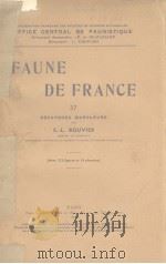 FAUNE DE FRANCE 37     PDF电子版封面    E.L.BOUVIER 