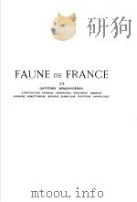FAUNE DE FRANCE 13     PDF电子版封面    E.SEGUY 