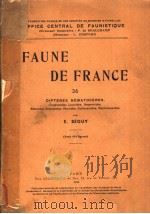 FAUNE DE FRANCE 36     PDF电子版封面    E.SEGUY 