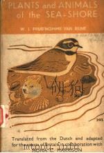 PLANTS AND ANIMALS OF THE SEA-SHORE     PDF电子版封面    W.J.PRUD’HOMME VAN REINE 