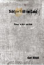 SCHOSS STILL IM LAND   1910  PDF电子版封面    CARL HOLZEL 