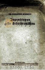 JUGENDTYPEN AUS ARBEITERMILIEU     PDF电子版封面    JOHANNES SCHMIDT 