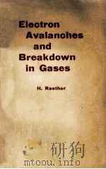 ELECTRON AVALANCHES AND BREAKDOWN IN GASES   1964  PDF电子版封面    H. RAETHER 