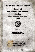 REPORT OF THE TWENTY-FIRST SESSION NORDEN 1960 PART VI   1960  PDF电子版封面     