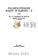 PALAEOLITHISCHE KUNST IN EUROPA-II     PDF电子版封面    J.P. KLEIWEG DE ZWAAN 