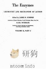 THE ENZYMES CHEMISTRY AND MECHANISM OF ACTION VOLUME II PART 2（1952 PDF版）