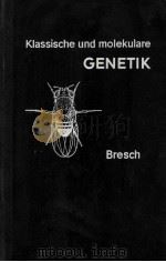 KLASSISCHE UND MOLEKULARE GENETIK   1964  PDF电子版封面    C. BRESCH 