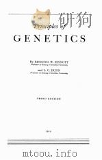 PRINCIPLES OF GENETICS THIRD EDITION   1939  PDF电子版封面    EDMUND W. SINNOTT 