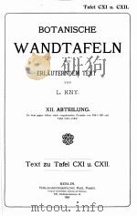 BOTANISCHE WANDTAFELN MIT ERLAUTERNDEM TEXT XII ABTEILUNG（1908 PDF版）