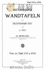 BOTANISCHE WANDTAFELN MIT ERLAUTERNDEM TEXT XI ABTEILUNG   1908  PDF电子版封面    L. KNY 
