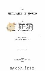 THE FERTILISATION OF FLOWERS   1883  PDF电子版封面    PROF HERMANN MULLER 