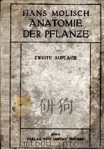 ANATOMIE DER PFLANZE   1922  PDF电子版封面    HANS MOLISCH 