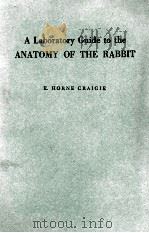 A LABORATORY GUIDE TO THE ANATOMY OF THE RABBIT（1951 PDF版）