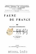 FAUNE DE FRANCE 58   1954  PDF电子版封面     