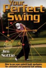 Your Perfect Swing（ PDF版）