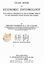 CLASS BOOK OF ECONOMIC ENTOMOLOGY（1919 PDF版）