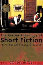 The norton anthology of short fiction  Shorter sixth edition（ PDF版）