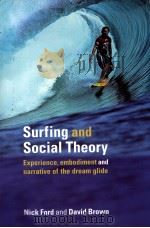 Surfing and social theory     PDF电子版封面  0415334330  Nick Ford  David Brown 