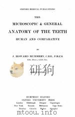 THE MICROSCOPIC AND GENERAL ANATOMY OF THE TEETH HUMAN AND COMPARATIVE SECOND EDITION   1924  PDF电子版封面    J. HOWARD MUMMERY 