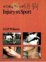 A Colour Atlas of Injury in Sport（ PDF版）