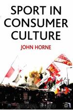 Sport in Consumer Culture     PDF电子版封面  0333912861  John Horne 