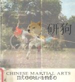 CHINESE MARTIAL ARTS ： TEACH YOURESLF     PDF电子版封面     