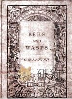 BEES AND WASPS（1913 PDF版）